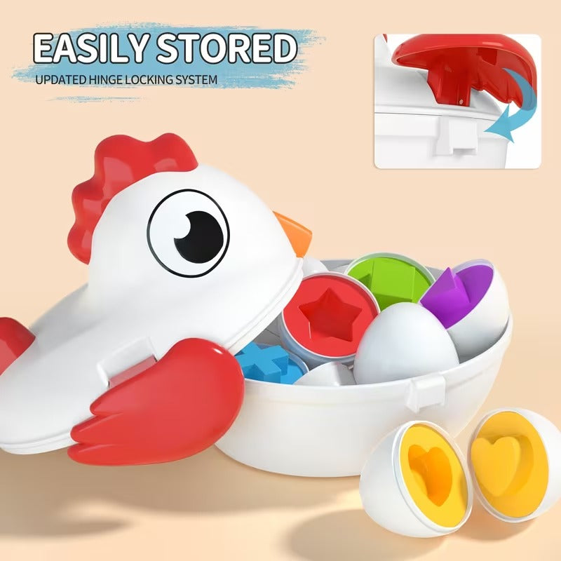 Matching Objects 12 Eggs Hen Early Education Stem Toy