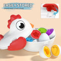 Matching Objects 12 Eggs Hen Early Education Stem Toy
