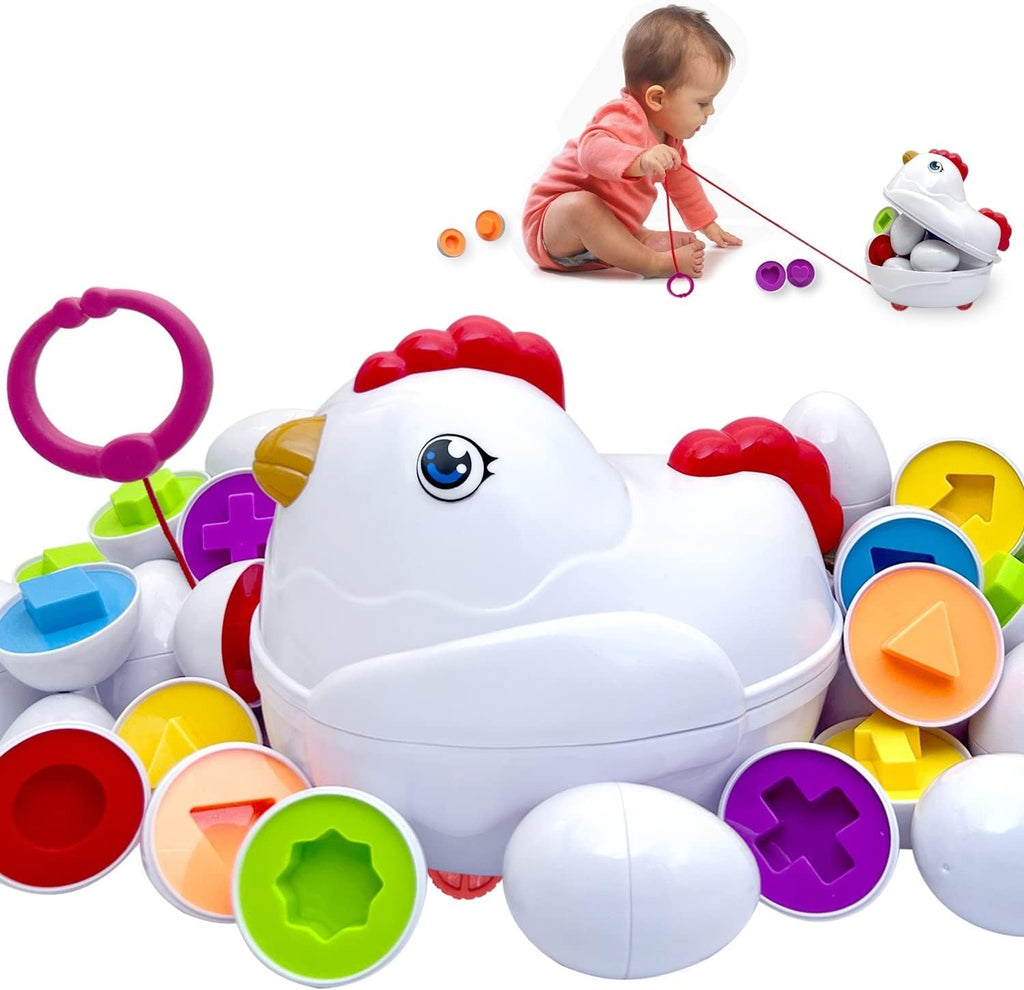 Matching Objects 12 Eggs Hen Early Education Stem Toy