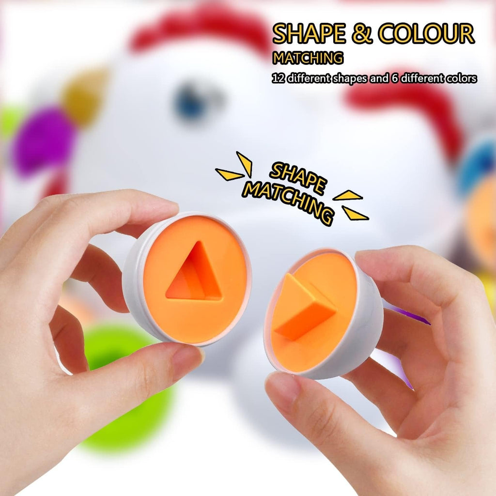 Matching Objects 12 Eggs Hen Early Education Stem Toy